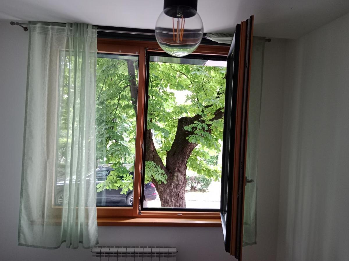 Sava Apartment Novi Sad Exterior photo
